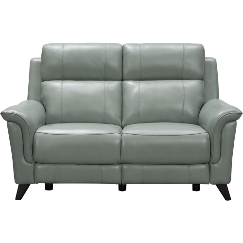 Kester Power Reclining Loveseat in Lorenzo Mint Leather